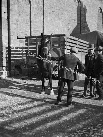 FARMERS  HORSE AND CART